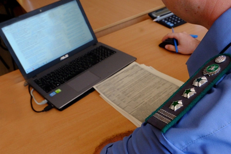 Фото: карантин // фото Россельхознадзора