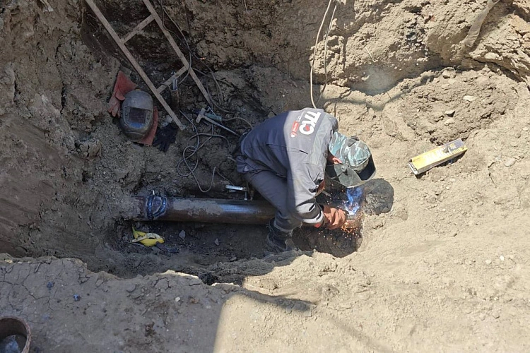 Фото: кадр из ТГ канала Алёны Пшеничной