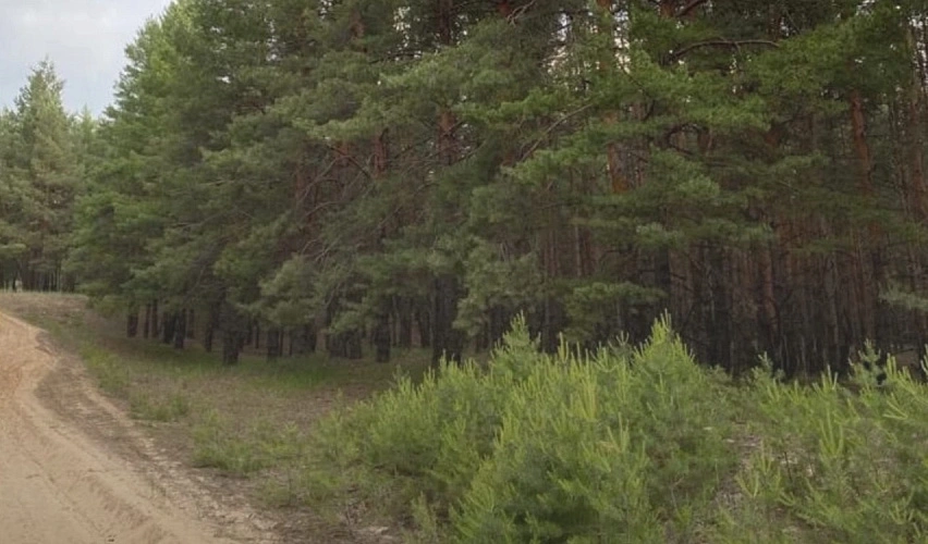 Фото: Минприроды Ростовской области