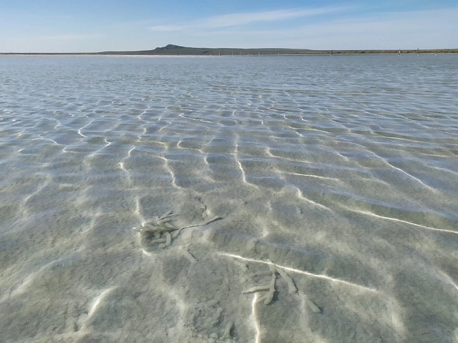 Фото: озеро Баскунчак // фото ЮФУ