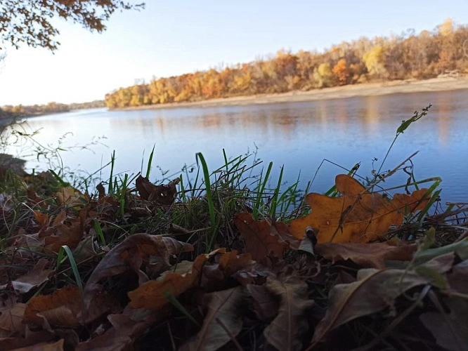 Фото: кадр 1Rnd