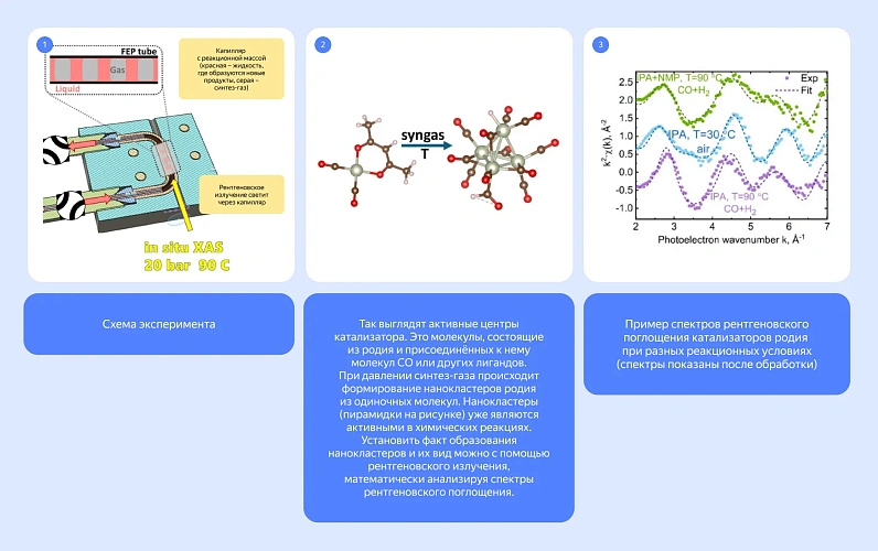 Фото: фото ЮФУ