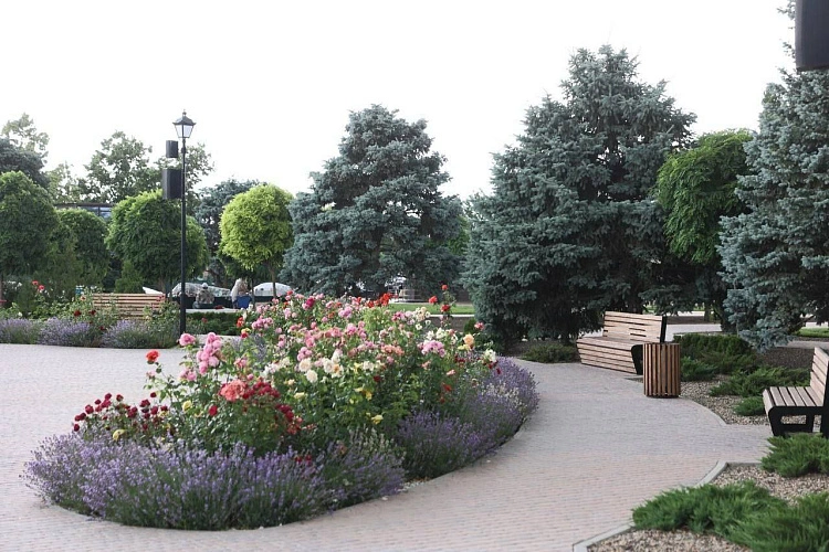 Фото: из архива Правительства Ростовской области 