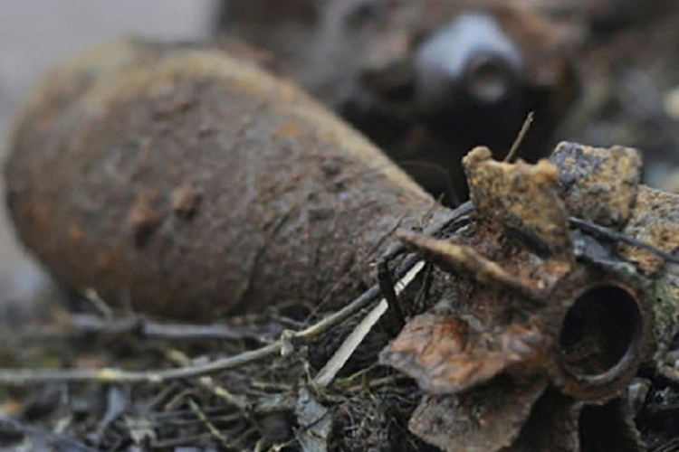 Фото: Правительства Ростсовской области.