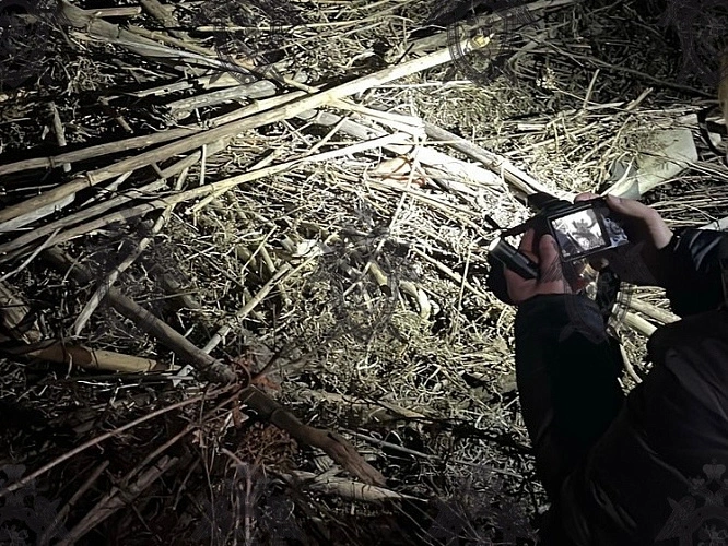 Фото: кадр донского Следкома