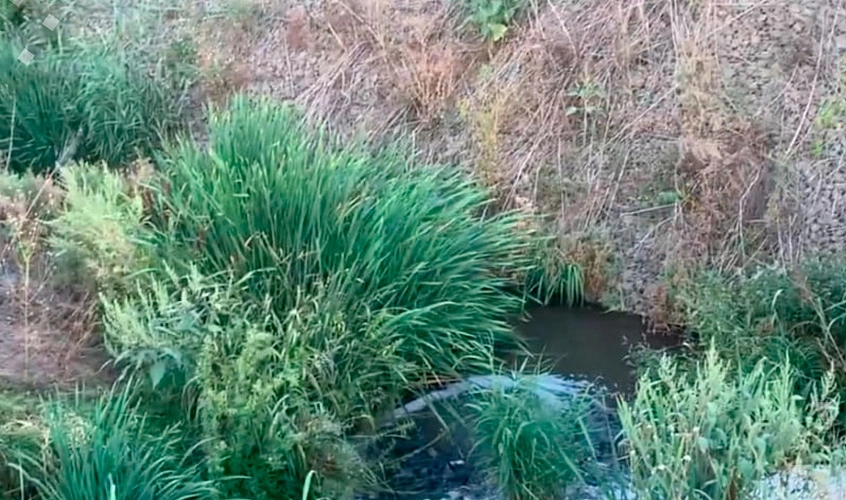 Фото: Следственный комитет