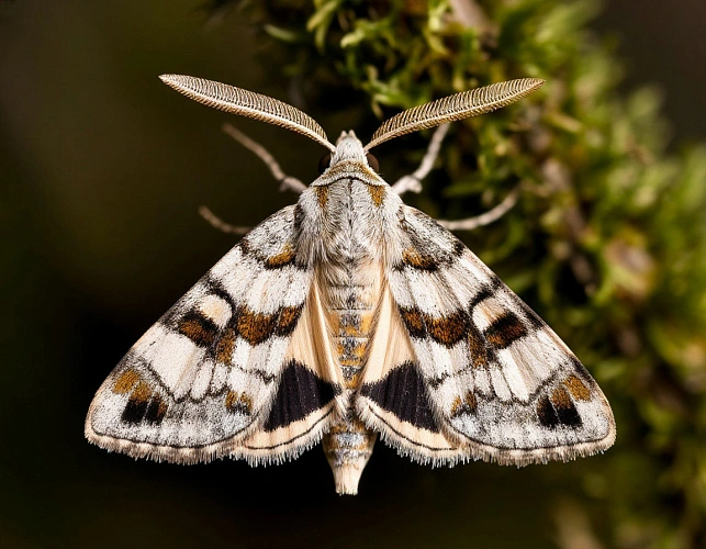 Фото: нейросеть 