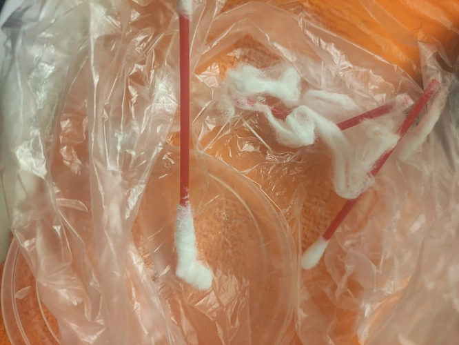 Фото: В СИЗО Ростова пытались передать заключенному ватные палочки с наркотиками внутри, фото - ГУФСИН РО