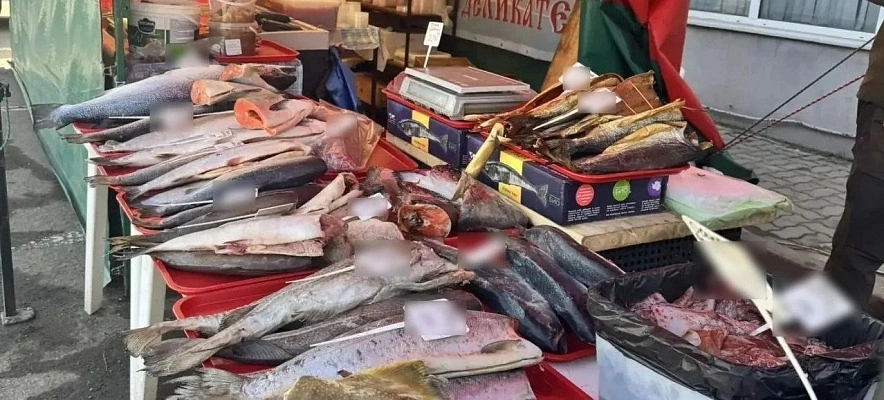 Фото: МВД по Ростовской области 