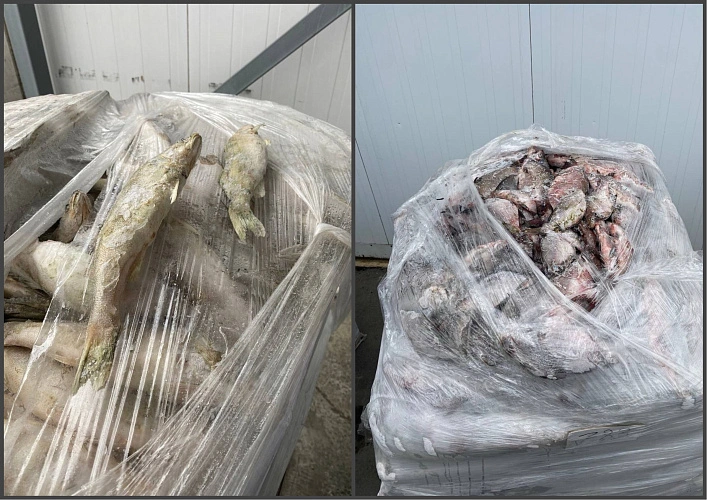 Фото: УФСБ РФ по РО