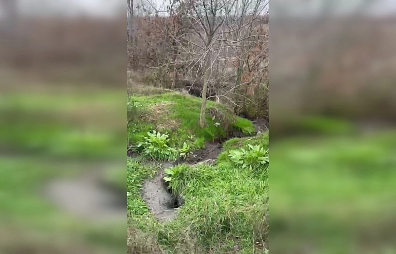 Фото: ТГ канала Антонины Пшеничной