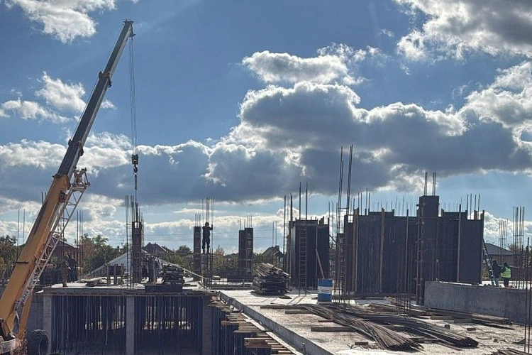 Фото: Правительство Ростовской области 