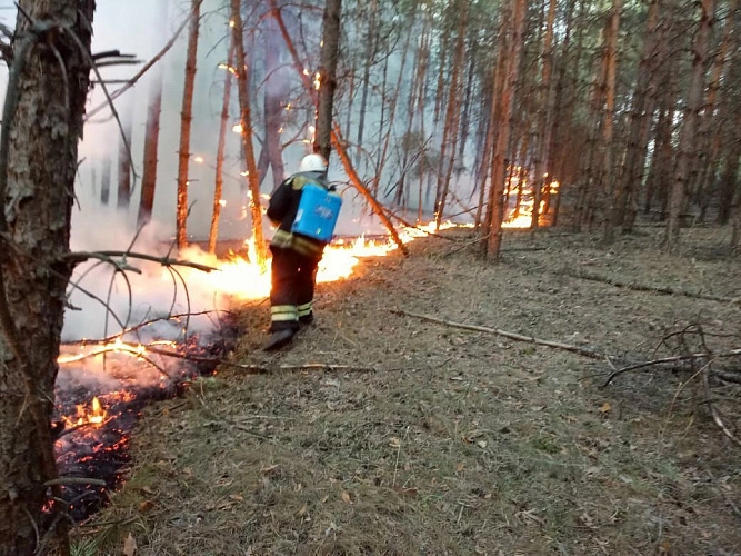 Фото: из публикаций 1Rnd