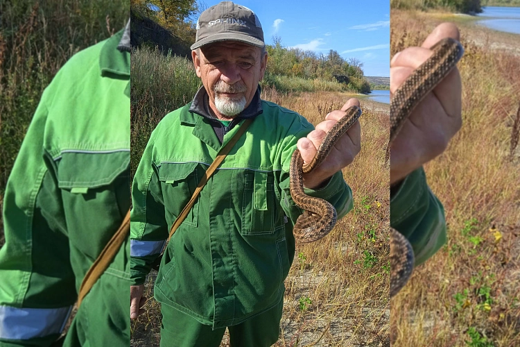Фото: Парк «Лога»