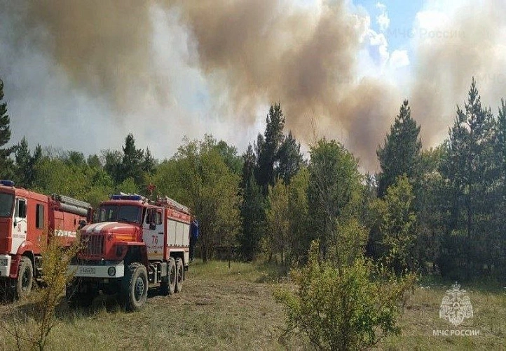 Фото: кадр донского МЧС