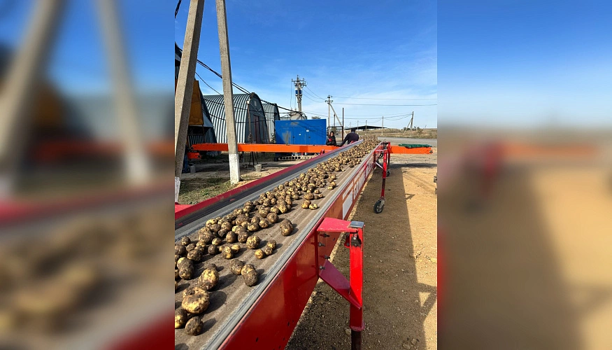 Фото: Глава Администрации Пролетарского района Ростовской области