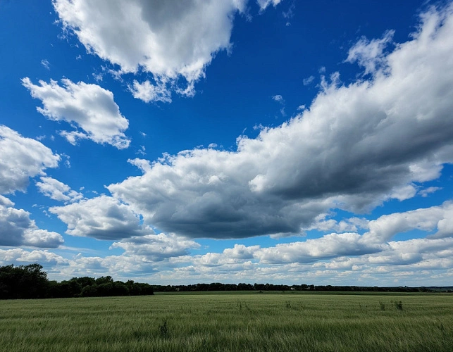 Фото: Изображение сгенерировано нейросетью