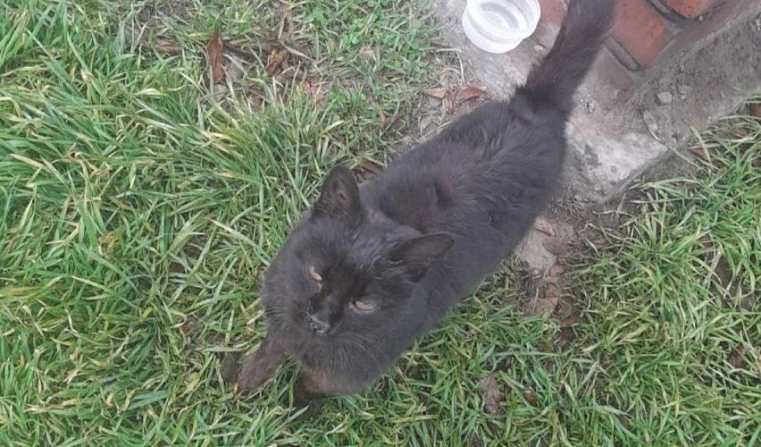 Фото: ТГ канала «БАТАЙСК ГОРОД»