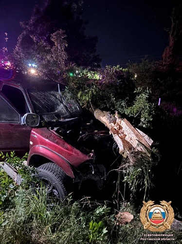 Фото: кадр донской Госавтоинспекции