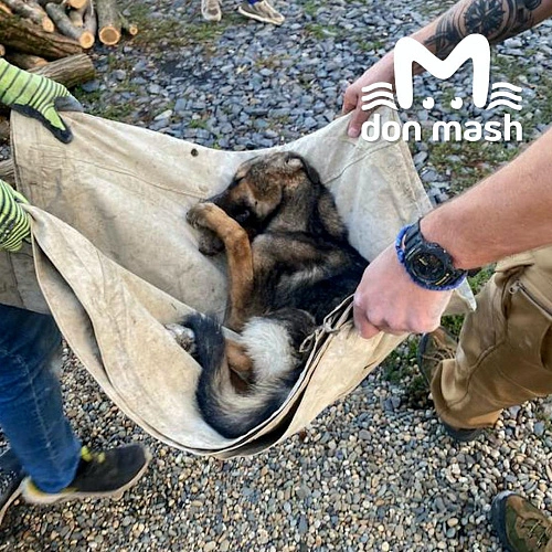 Фото: ТГ канала "Don Mash"