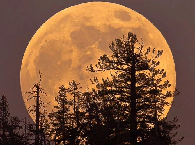 Фото: Лаборатория солнечной астрономии ИКИ и ИСЗФ