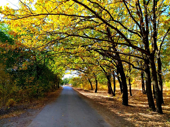 Фото: кадр 1Rnd