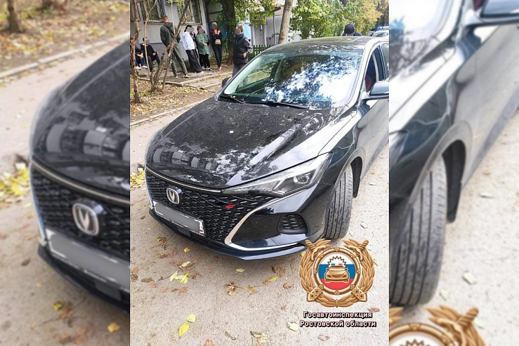 Фото: Госавтоинспекции Ростовской области 