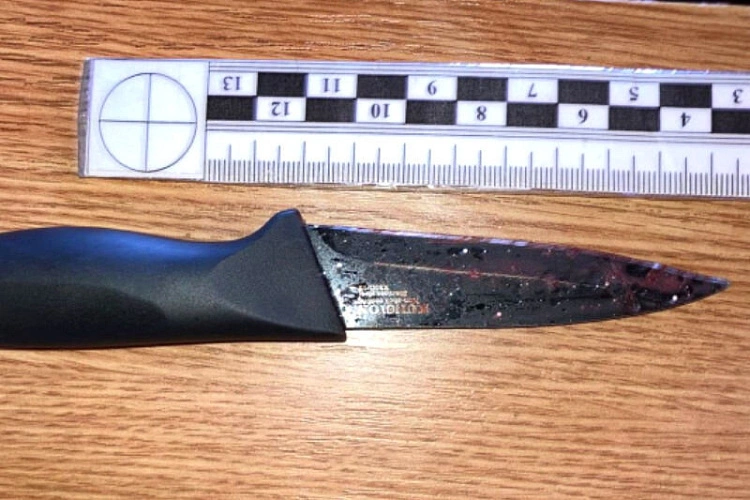 Фото: Нож с места преступления, иллюстрация - кадр оперативной съёмки МВД