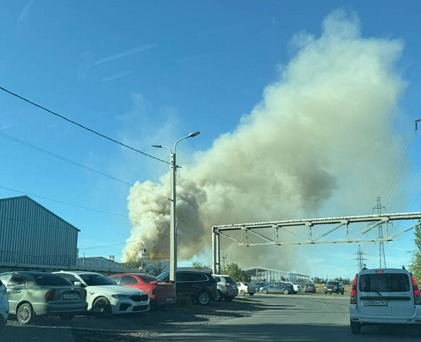 Фото: кадр из социальных сетей