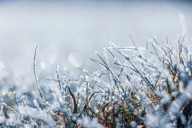 Фото: Денис Демков