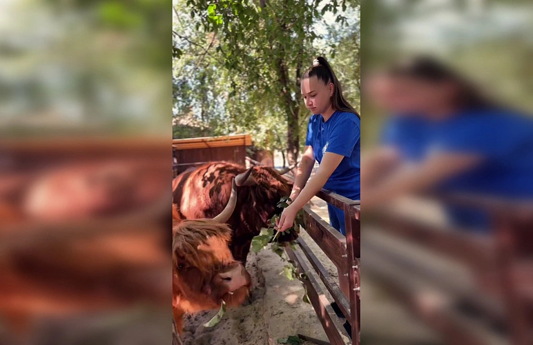 Фото: Парк «Лога»