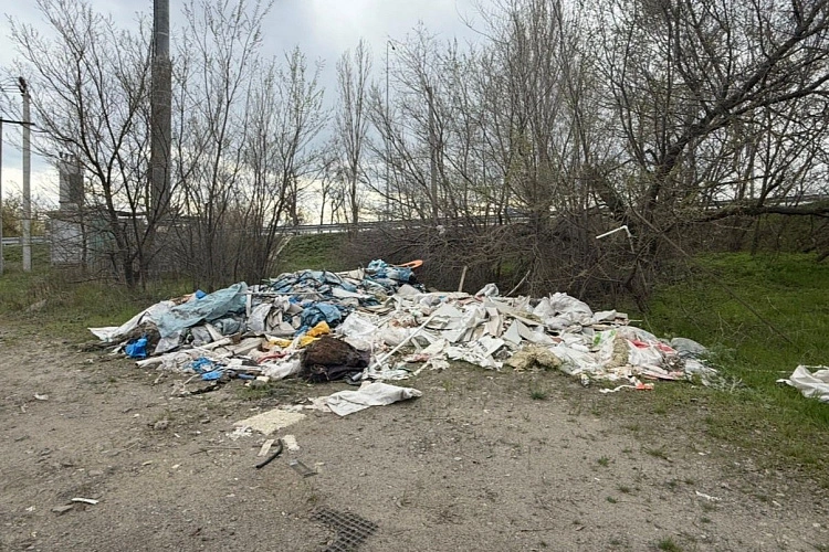 Фото: правительства РО 