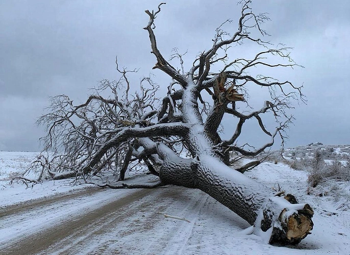 Фото: Нейросеть