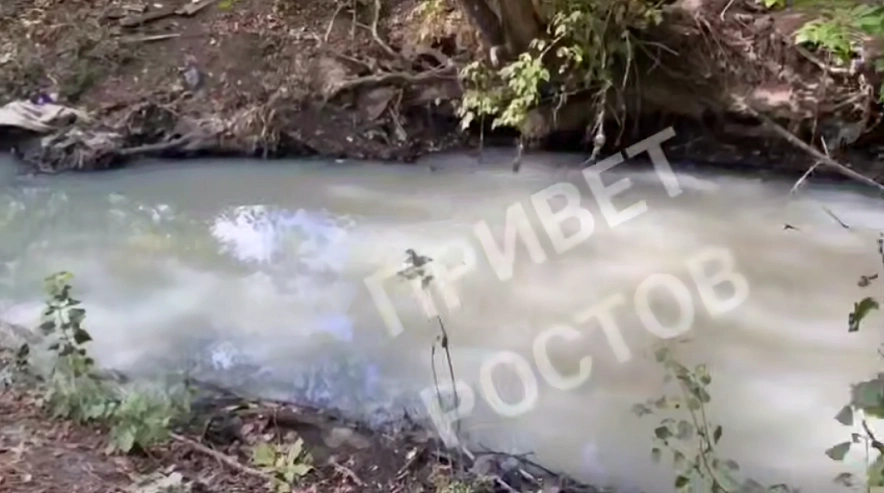 Фото: ТГ канала "Privet-Rostov.ru"