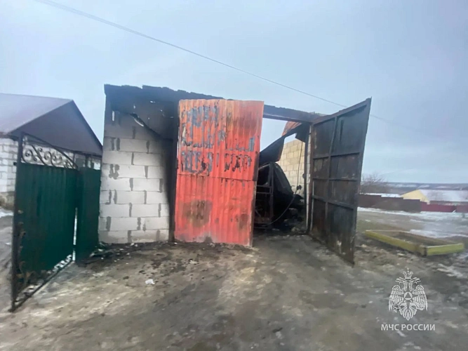 Фото: кадр донского МЧС