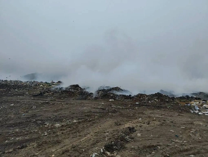 Фото: ТГ канала Антонины Пшеничной