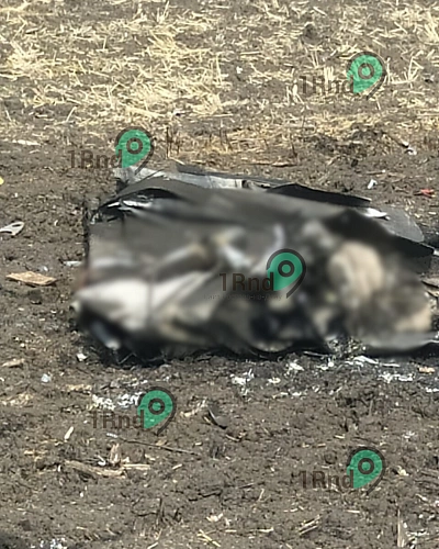 Фото: из архива редакции