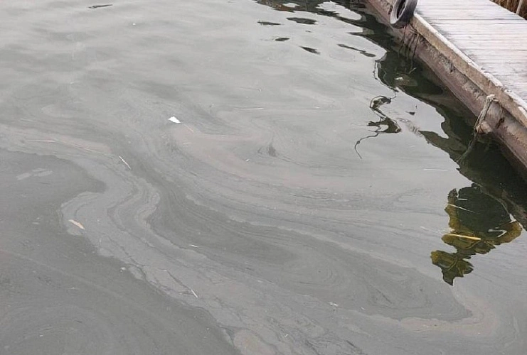 Фото: минприроды РО