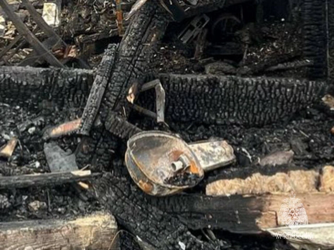 Фото: кадр донского МЧС