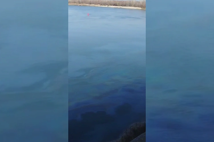 Фото: ТГ канала «РОСТОВ ПАПА РОСТОВ-НА-ДОНУ»