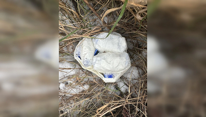 Фото: МВД по Ростовской области 