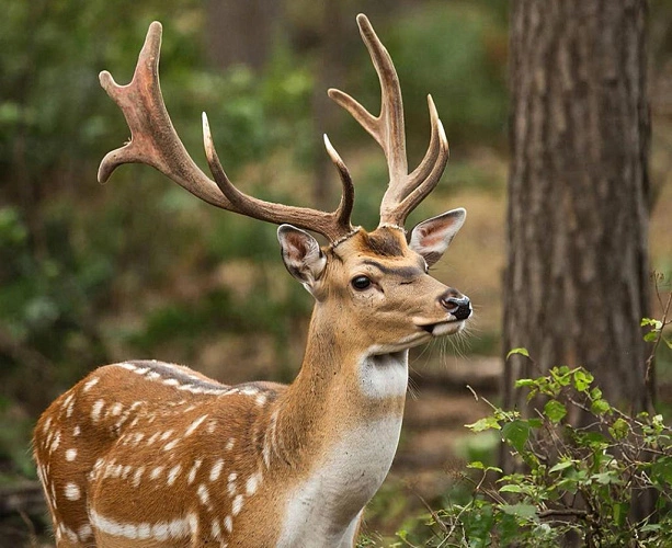 Фото: Нейросеть
