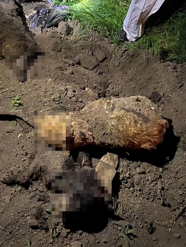 Фото: социальные сети