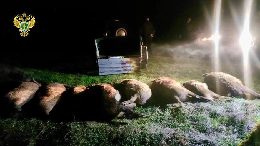 Фото: Прокуратура Ростовской области