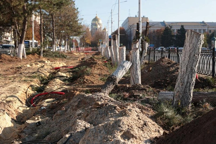 Фото: Пресс-служба губернатора РО