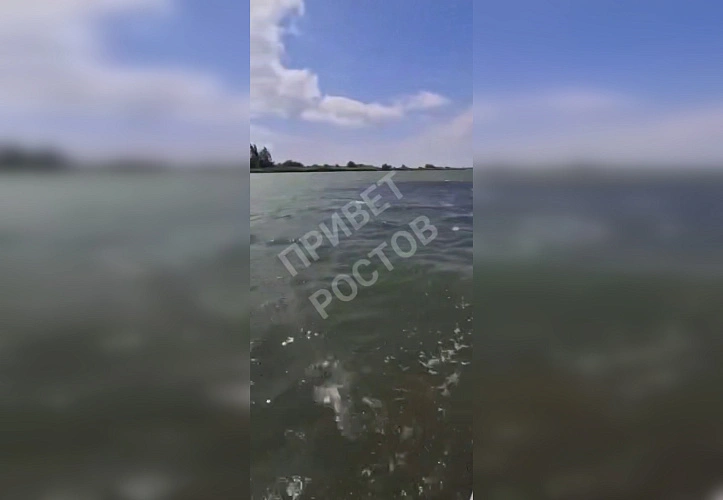 Фото: ТГ канала "Privet-Rostov.ru"