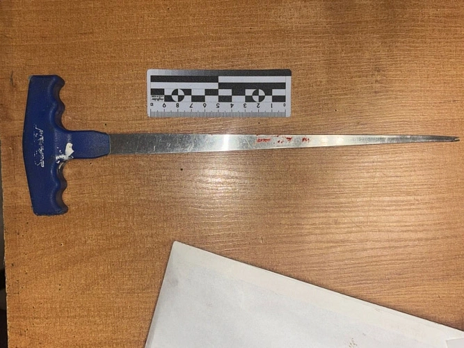 Фото: пресс-служба ГУ МВД по РО