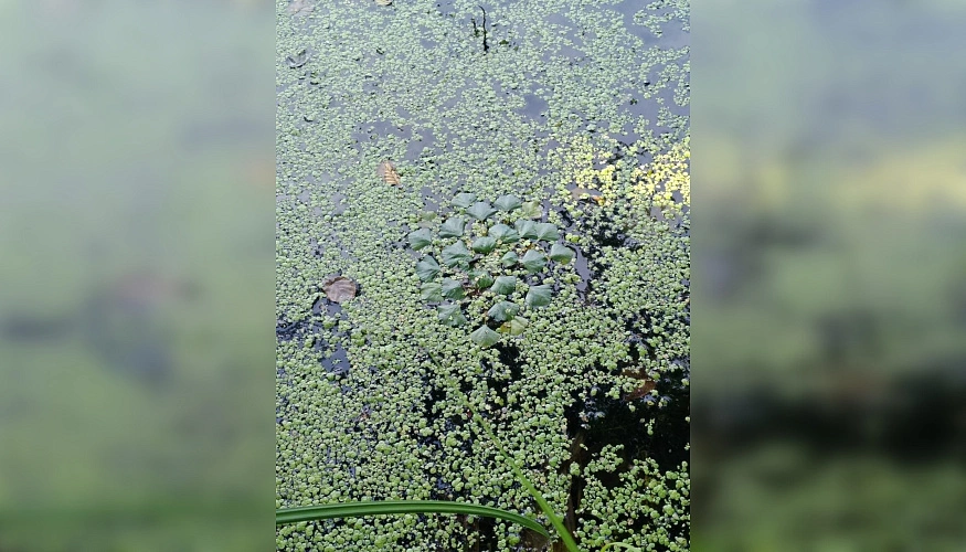 Фото:  ЮНЦ РАН