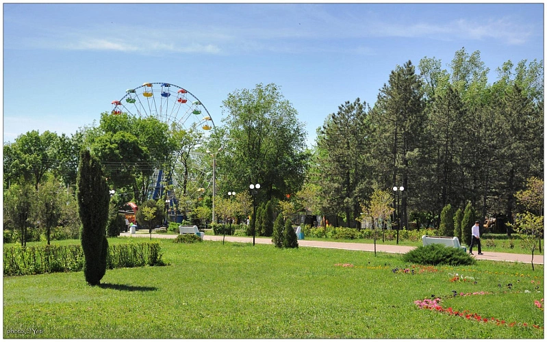 Фото: из публикаций 1Rnd