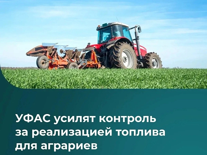 Фото: Ростовское УФАС России